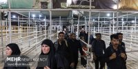 وضعیت تردد در مرز شلمچه ۱۵ خرداد