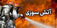 آتش‌سوزی خودروی حامل سوخت قاچاق در روستای گروک میناب