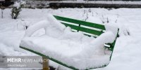 تصاویری از شهر برفی چناران