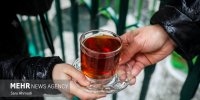 از چایخانه حضرت رضا(ع) تا مدار زمین