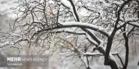حال و هوای شهر مشهد و یک روز برفی