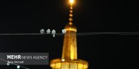 محفل سینه زنی در حرم مطهر امام رضا(ع)