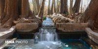 گوشه به گوشه ایران؛ باغ جهانی پهلوانپور مهریز - یزد