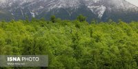 ایران زیباست؛ رودبار طبیعت گمشده‌ی گیلان