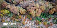 پاییزِ هزاررنگ در روستای شیت - طارم