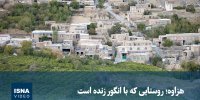 ویدیو/ هزاوه؛ روستایی که با انگور زنده است