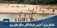 ویدیو/ ماشکو پیرو؛ آخرین بازماندگان جنگل‌های پرو