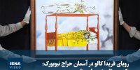 ویدیو/ رویای فریدا کالو در آسمان حراج نیویورک؛ رکوردی تاریخی برای زنان هنرمند