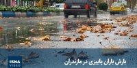 ویدیو/ بارش باران پاییزی در مازندران