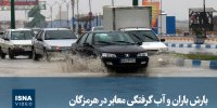 ویدیو/ بارش باران و آب گرفتگی معابر در هرمزگان