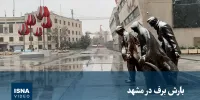 ویدیو/ بارش برف در مشهد