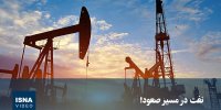ویدیو/ نفت در مسیر صعود!