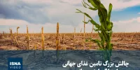 ویدیو/ چالش بزرگ تامین غذای جهانی همزمان با گرمایش جهانی