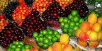 آغاز عرضه نوبرانه‌های بهاری در بازارهای میوه‌وتره‌بار