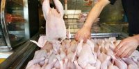 توزیع روزانه تا ۱۵۰۰ تن گوشت مرغ در تهران