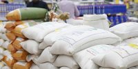 کدام اشتباه آماری قیمت برنج را گران کرد؟ / برنج را از کشاورز کیلویی ۷۰ هزار تومان می‌خرند
