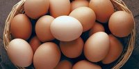 قیمت تخم‌مرغ به شدت کاهش یافت/ یک شانه تخم‌مرغ چند؟