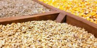 قیمت جدید نهاده‌های دامی، روغن و شکر خام