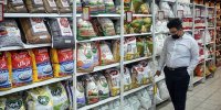 قیمت برنج خارجی امروز ۲۴ مرداد ۱۴۰۴ / ارزان‌ترین برنج پاکستانی کیلویی چند؟ + جدول