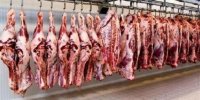 آغاز ثبت سفارش جدید برای واردات گوشت منجمد و گرم