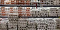 جنجال تخم‌مرغ از مرغداری تا بازار/ نیمرو با طعم تورم