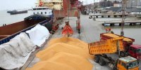هشدار سازمان بازرسی به وزارت جهاد کشاورزی درباره نهاده‌های دامی: اقدام خالی فروشی واردکنندگان باعث نارضایتی واحدهای تولیدی شده