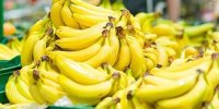 قیمت موز باید بسیار پایین‌تر باشد/ رانت واردات موز در قبال صادرات سیب!