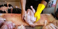 قیمت جدید مرغ اعلام شد/ مرغ را گران‌تر از این رقم نخرید