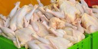 درخواست اتحادیه مرغداران برای جمع‌آوری مرغ مازاد پیش از رمضان و نوروز