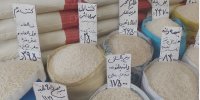 قیمت جدید برنج امروز جمعه ۲۴ بهمن/ برنج ایرانی، هندی و پاکستانی کیلویی چند؟