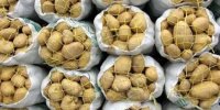 افزایش عرضه سیب زمینی به شهرهای مسافرپذیر با توقف صادرات