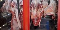 گوشت به وفور موجود است/ نیازی به استفاده از ذخایر استراتژیک نیست