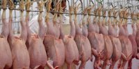 قیمت جدید مرغ اعلام‌شد/ مرغ  استان‌های مسافرپذیر بالاتر از نرخ رسمی فروخته می‌شود