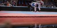جانشین هادی ساعی در فدراسیون تکواندو منصوب شد