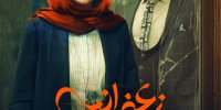 رونمایی از پوستر فیلمی با بازی مهدی هاشمی و هنگامه قاضیانی