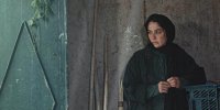 «در آغوش درخت» بهترین فیلم جشنواره کانادایی شد