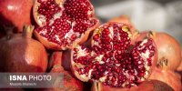 کدام برنامه‌های شب یلدا پربیننده‌تر بودند؟