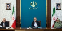 این وزیر دولت چهاردهم در آستانه استیضاح است+ عکس