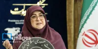 مهاجرانی: به برنامه هسته ای ایران خود ادامه می دهیم/ رابطه ما با آژانس شکل جدیدی به خود می گیرد
