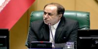حاجی دلیگانی:  مردم ارزانی را در شانه تخم مرغ، گوشت مرغ و برنجی مصرفی خواستارند/ نائب رئیس مجلس: مبارزه با مفاسد و رانت اقتصادی خواسته مردم است