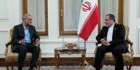 عراقچی: دوستی و برادری ایران و پاکستان ریشه دار است