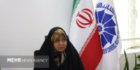 دلالان مانع از تغییر سطح عمومی قیمت ها با وجود ریزش ارزش دلار هستند