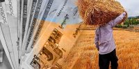 دومین مرحله از مطالبات کشاورزان گندمکار پرداخت شد