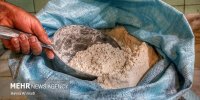 طرح هوشمندسازی یارانه آرد و نان روند صعودی مصرف را متوقف کرد