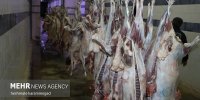 کاهش عرضه گوشت قرمز و طیور در تیرماه
