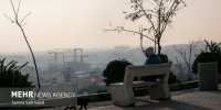 تهران در چنگال آلودگی؛چرا برخی ادارات مصوبات اضطرار را نادیده می‌گیرند