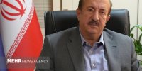 قیمت کالاها به ثبات می‌رسد؛ واردات کالاهای اساسی در انحصار کسی نیست