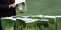 درآمد پایه همگانی راهکاری بلندمدت برای کمک به معیشت ایرانیان