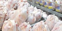 عرضه گوشت طیور در دی ماه به بیش از ۲۴۰ هزار تن رسید