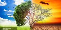 اجرای کنوانسیون تغییر اقلیم؛ از تأمین مالی تا گذار عادلانه